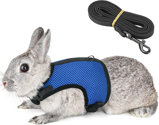 PETTOM Bunny Rabbit Harness with Stretchy Leash Cute Adjustable Buckle Breathable Mesh Vest for Kitten Small Pets Walking (Blue,XL)