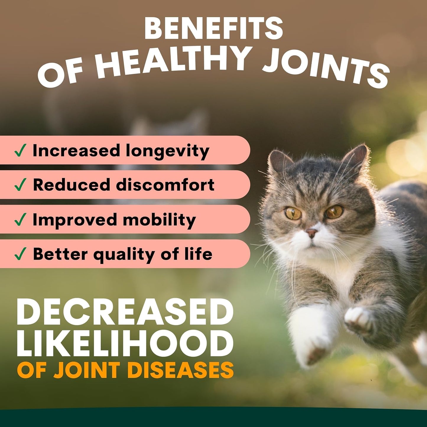 Hip and Joint Supplement for Cats - Glucosamine, Chondroitin, MSM for Joint Hip Care, Arthritis Pain Relief, Mobility Support, Cartilage Health, Inflammation Reduction - Senior Cat Support, 60 Scoops