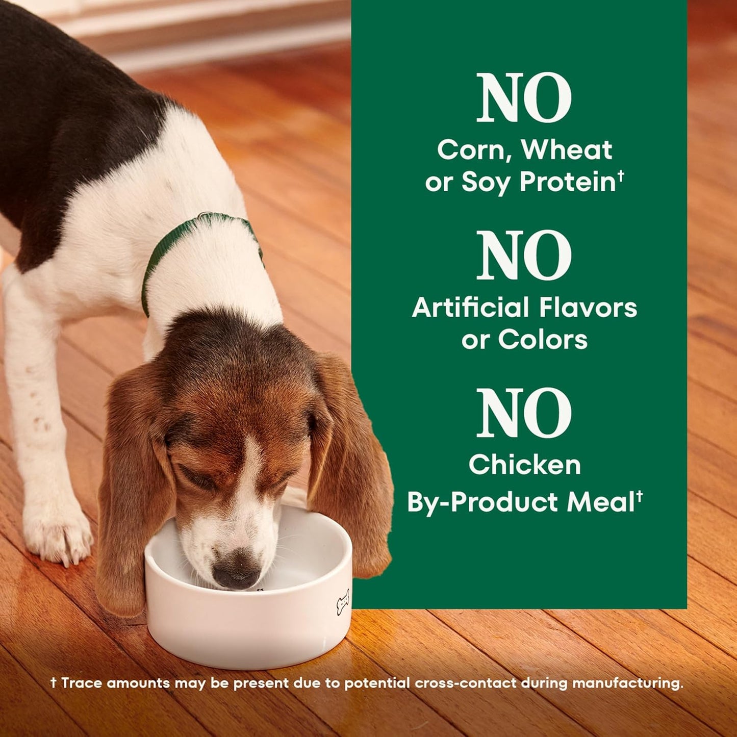 Nutro Natural Choice Lamb & Brown Rice Large Breed Puppy Food Dry Recipe, 30 lb. Bag