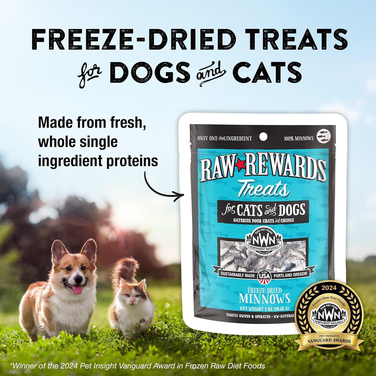 Northwest Naturals Raw Rewards Freeze-Dried Minnow Treats for Dogs and Cats - Bite-Sized Pieces - Healthy, 1 Ingredient, Human Grade Pet Food, All Natural, Proudly Made in USA, 1 Oz (Pack of 3)
