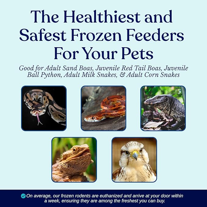 MiceDirect EST. 2003 150 Frozen Mice Large Adult Feeders Snake Food for Adult Ball Pythons Juvenile Red Tail Boas Monitors (3-3.25 in) (3900 Grams Min)