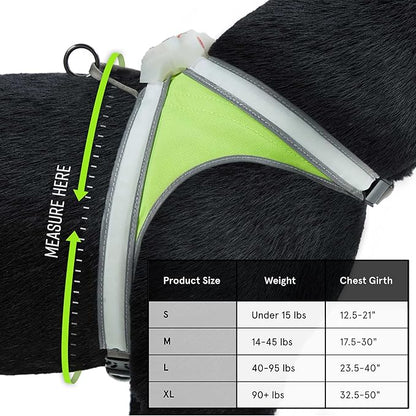 Noxgear LightHound - Multicolor LED Illuminated, Reflective Dog Harness (Medium)