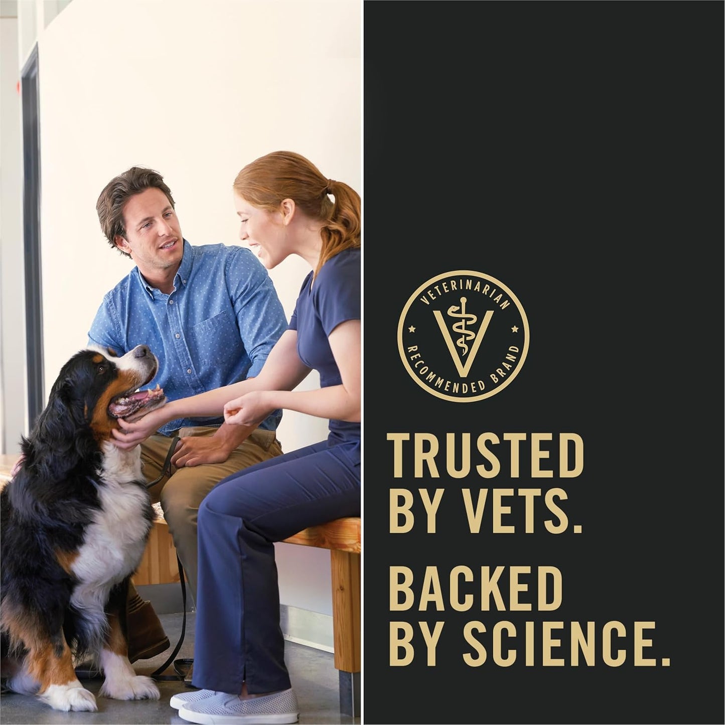 Purina Pro Plan Sensitive Skin and Sensitive Stomach Dog Food Lamb and Oat Meal Formula - 16 lb. Bag