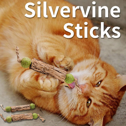 Silvervine Sticks Catnip Toys for Cats, 3 Pack, Interactive Indoor Cat Toy for Teeth Cleaning, Natural Matatabi Chew Treat for Aggressive Chewers