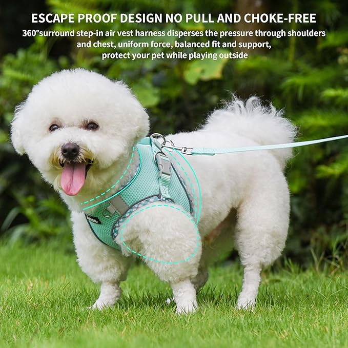 AIITLE Tiny Dog Harness - Lightweight Mesh Step-in Vest for Puppy, Reflective & Escape-Proof Design with High-Stick Magic Tape - Indoor/Outdoor Use for Chihuahua, Maltese, Shih Tzu(Turquoise, XXXS)