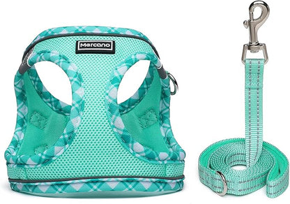 Mercano Soft Mesh Dog Harness and Leash Set, No-Chock Step-in Reflective Breathable Lightweight Easy Walk Vest Harnesses with Safety Buckle for Small Dogs, Cats (Light Green, XL)