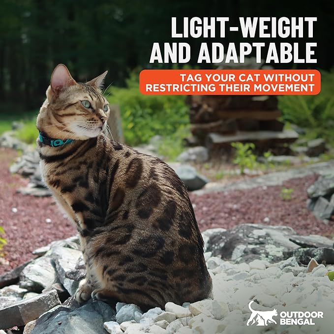 OutdoorBengal Ultra-Safe Quick Release Breakaway Kitten Collar - Cat Collar for Small Kittens Under 6 Months – Soft-Padded, Lightweight, Adjustable, Thin and Comfortable, No Bell (Green, Kitten)