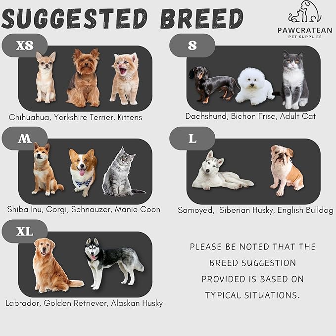 Cute Sweater for Dogs and Cats Soft Flannel Pet Outfit Warm and Cozy Animal Hoodie Small to Large Pet Clothes for Halloween Parties and Everyday Wear (Medium, Grey Pinguin)