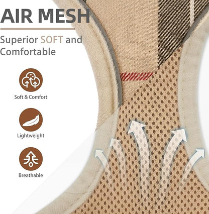 PUPTECK Soft Mesh Dog Harness and Leash Set Pet Puppy Cat Adjustable Reflective Padded Vest No Pull Harnesses, Beige, M