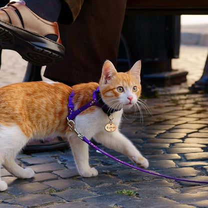 Anavia Small Size Dog Cat ID Tags, Small/XS Personalized Color Plated Stainless Steel Puppy Kitten Name Tags, Customized Engraved Nameplate Pet Collar Tag (Blue, Oval)