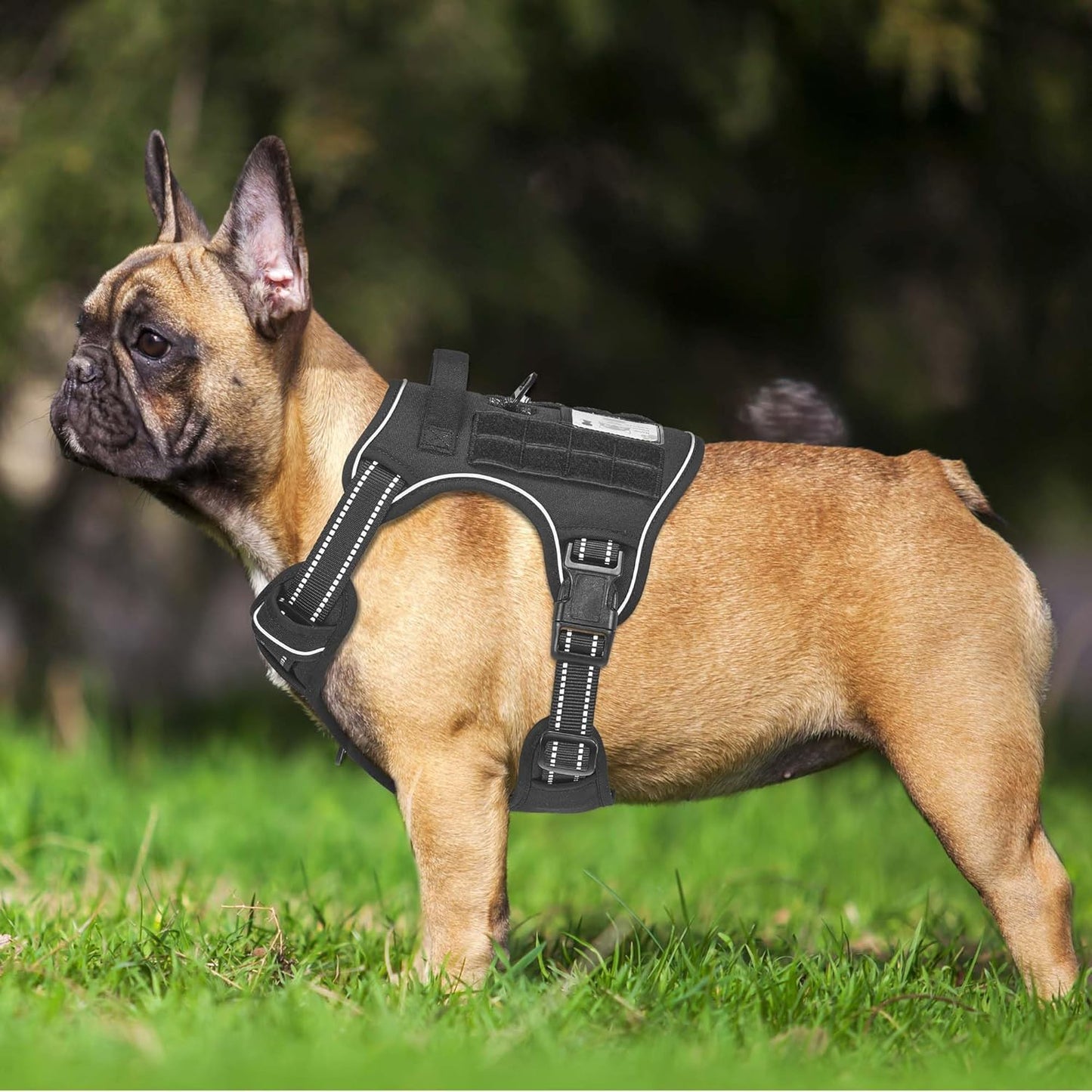 Heavy Duty Tactical Dog Harness for Medium Dogs, No Pull Adjustable Pet Harness Reflective Service Training Easy Control Pet Vest Military K9 Working Dog Harnesses- Medium, Black