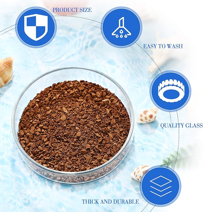 Patelai 3 Pieces Aquarium Shrimp Feeding Dish Clear Glass Fish Tank Feeding Bowl Food Bowl Freshwater Tray Feeder, 60mm, 65mm, 80mm