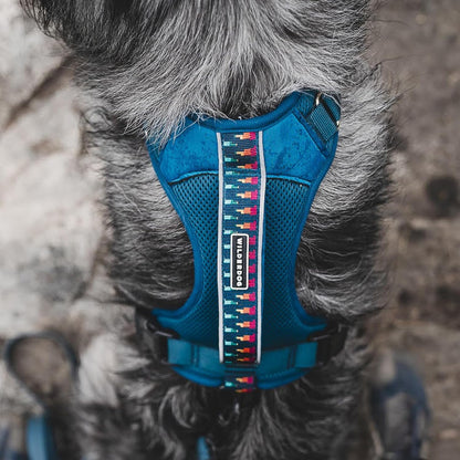 Wilderdog Lightweight Dog Harness with Reflective Straps - Medium - Pacific Blue