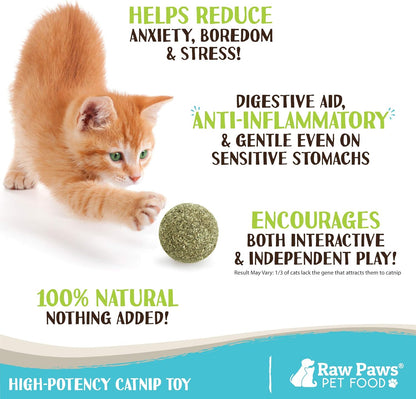 Raw Paws Catnip Balls for Cats, (6-Count) - Interactive Cat Toy for Indoor Cats - Cat Nip Licking Balls