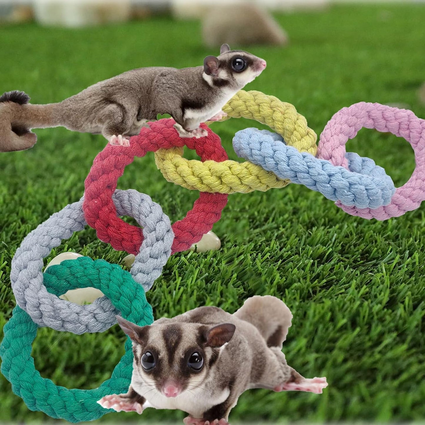 Sugar Glider Hanging Six-Ring Climbing Toys,Sugar Glider Swing Toys,Sugar Glider Climbing Rope Cage Accessories for Sugar Glider Ferret Hamster Squirrel Chinchilla Parrots Climbing Exercising
