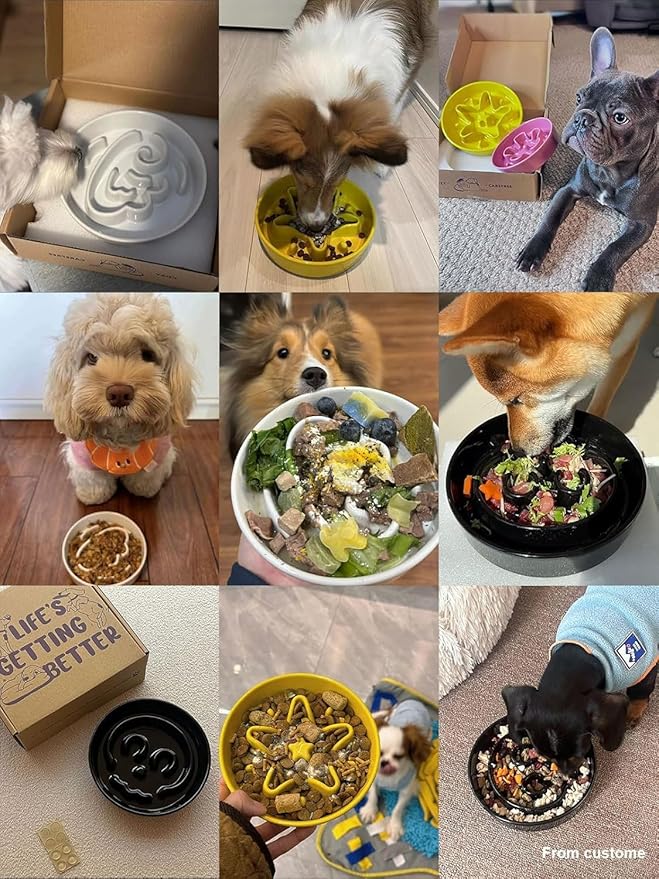 LE TAUCI Ceramic Slow Feeder Dog Bowls Elevated, 0.6 Cups Raised Dog Bowl with Wooden Stand for Small Breed, Pet Dishes to Slow Down Eating, Skull Black