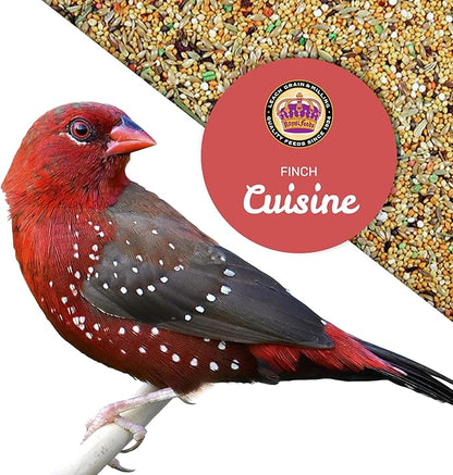 Finch Cuisine 4 Lbs, Finch Food, Nutrient-Rich Blend Bird Seed, Birdseed for Finches and Small Birds, Support Daily Energy, Growth & Healthy Balanced Diet, No Mess Bird Seed