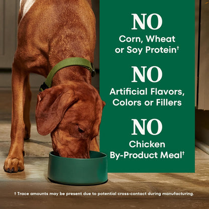 Nutro Natural Choice Adult Dry Dog Food, Lamb and Brown Rice Recipe, 12 lbs.