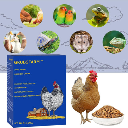 Premium Chicken Treats 10LB - Non-GMO & 85X More Calcium Than Meal Worms - Molting & Laying Supplement - BSF Larvae Treats for Layer Hens, Ducks Wild Birds