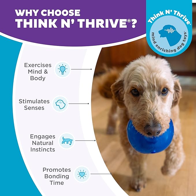 Outward Hound Lil' Snoop Interactive Treat Dispensing Dog Toy, Puzzle Ball Slow Feeder for Small to Medium Dogs, Mint-Scented for Mental Stimulation & Boredom Relief, BPA-Free, 3.9-Inch, Blue