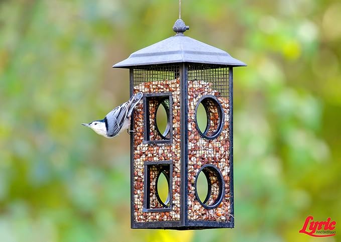 Lyric Delite Wild Bird Seed for Outside Feeders - No Waste Bird Food, Nuts & Seeds Mix, Attracts Buntings, Chickadees & Finches, 10 lb (Pack of 2-5 lb Bags)