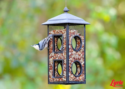 Lyric Delite Wild Bird Seed - No Waste Bird Food Mix with Shell-Free Nuts & Seeds - Attracts Buntings, Chickadees & Finches - 5 lb bag