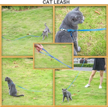 AMAGOOD 6 FT Cat Leashes, Strong Traditional Style Leash with Easy to Use Collar Hook,Cat Lead Great for Cats (3/8 in x 6 ft(Pack of 1), Blue)