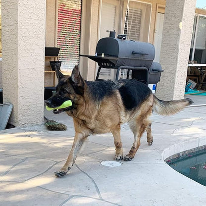 Jalousie 18 Pack Dog Squeaky Toys Cute Stuffed Pet Plush Puppy Chew for Small Medium Pets - Bulk