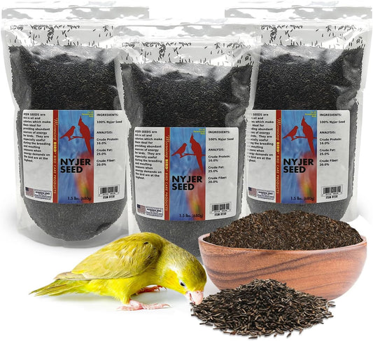 Morning Bird Nyjer Seed for Birds 4.5 lbs (3-Pack, 1.5 lbs Each)– Energizing Nutrition with Rich in Vitamins and Supplements – Ideal Bird Food for Breeding & Molting – Finch Seed for All Birds