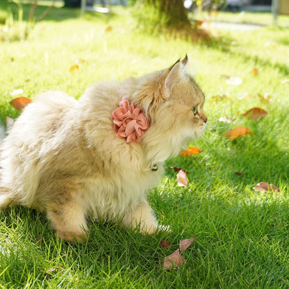 azuza 2 Pack Cat Collar Floral with Bell and Removable Flower Bowtie Breakaway Adjustable Velvet Fabric Cat Collar for Pets and Daily Decoration，Wine Red & Rose Pink