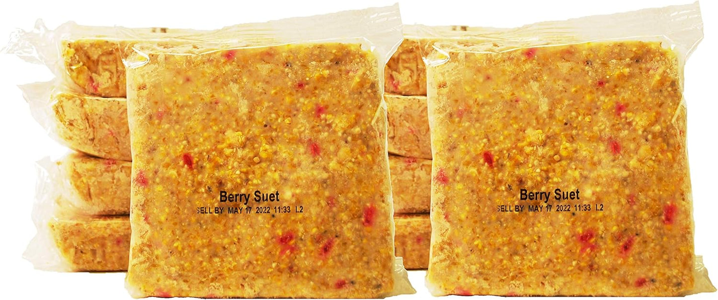 ST. ALBANS BAY SUET PLUS Suet Cake Variety Packs | 10 Berry Suet Cakes for Wild Birds 11 Oz. Each | (Berry, 10 Pack)
