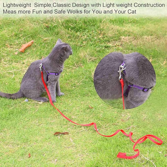 AMAGOOD 6 FT Cat Leash, Strong and Durable Traditional Style Leash with Easy to Use Collar Hook,Cat Lead Great for Cats (3/8 in x 6 ft(Pack of 1), Red)