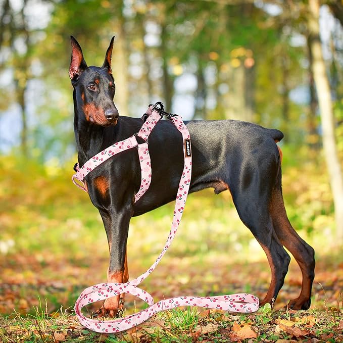 QQPETS Dog Harness Leash Set Adjustable Heavy Duty No Pull Halter Harnesses for Small Medium Large Breed Dogs Back Clip Anti-Twist Perfect for Walking (L(23"-32" Chest Girth), Sakura Pink)