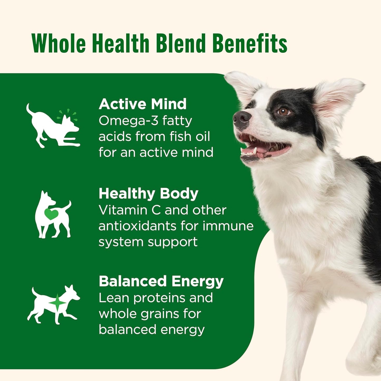 Nutrish Premium Paté Wet Dog Food, Real Chicken & Apple Recipe Whole Health Blend, 13 oz. Can, 12 Count (Rachael Ray)