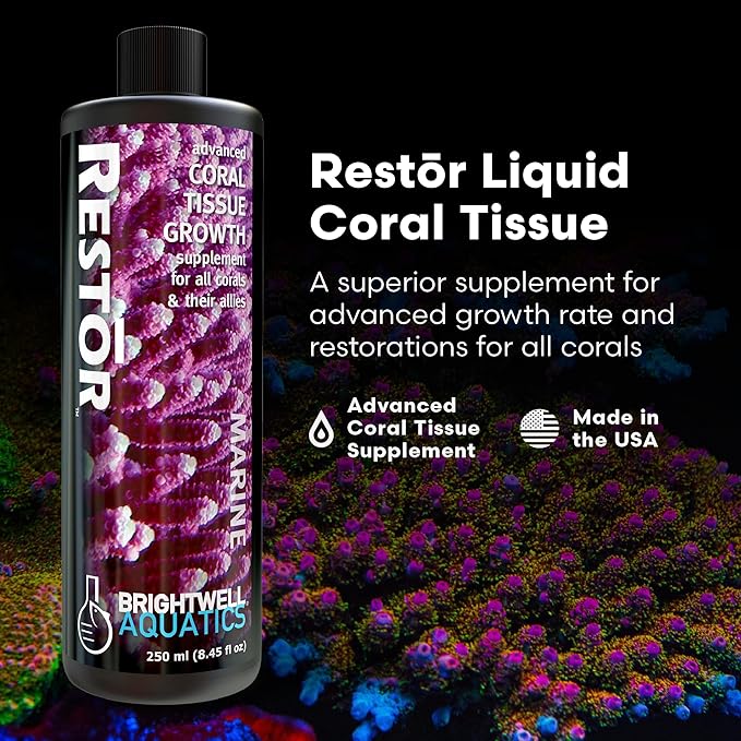 Brightwell Aquatics - Restor Liquid Coral Tissue Supplement - Fish Tank Reef Nutrition for Live Coral Growth Acceleration, Colour Vibrancy, & Restoration Additive - Saltwater Reef Supplies, 8.45 fl oz