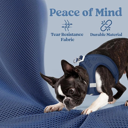 rabbitgoo Small Dog Harness, Step-in Soft Mesh Puppy Vest with Safety Buckle, Breathable Reflective Pet Harness for Small Medium Dogs, Navy Blue XL