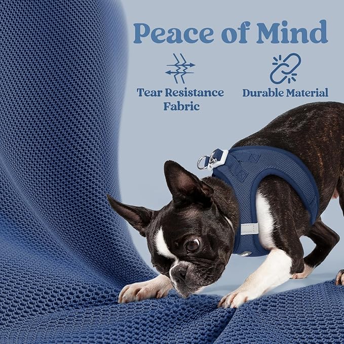 rabbitgoo Small Dog Harness, Step-in Soft Mesh Puppy Vest with Safety Buckle, Breathable Reflective Pet Harness for Small Sized Dogs, Navy Blue M