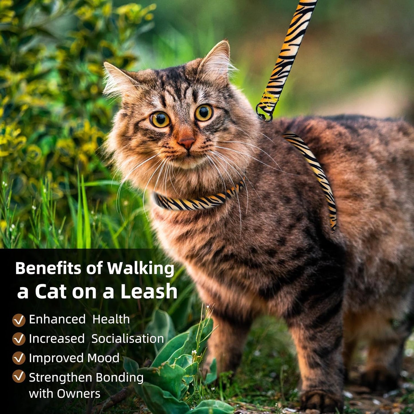 Cat Harness and Leash Escape Proof (XS)