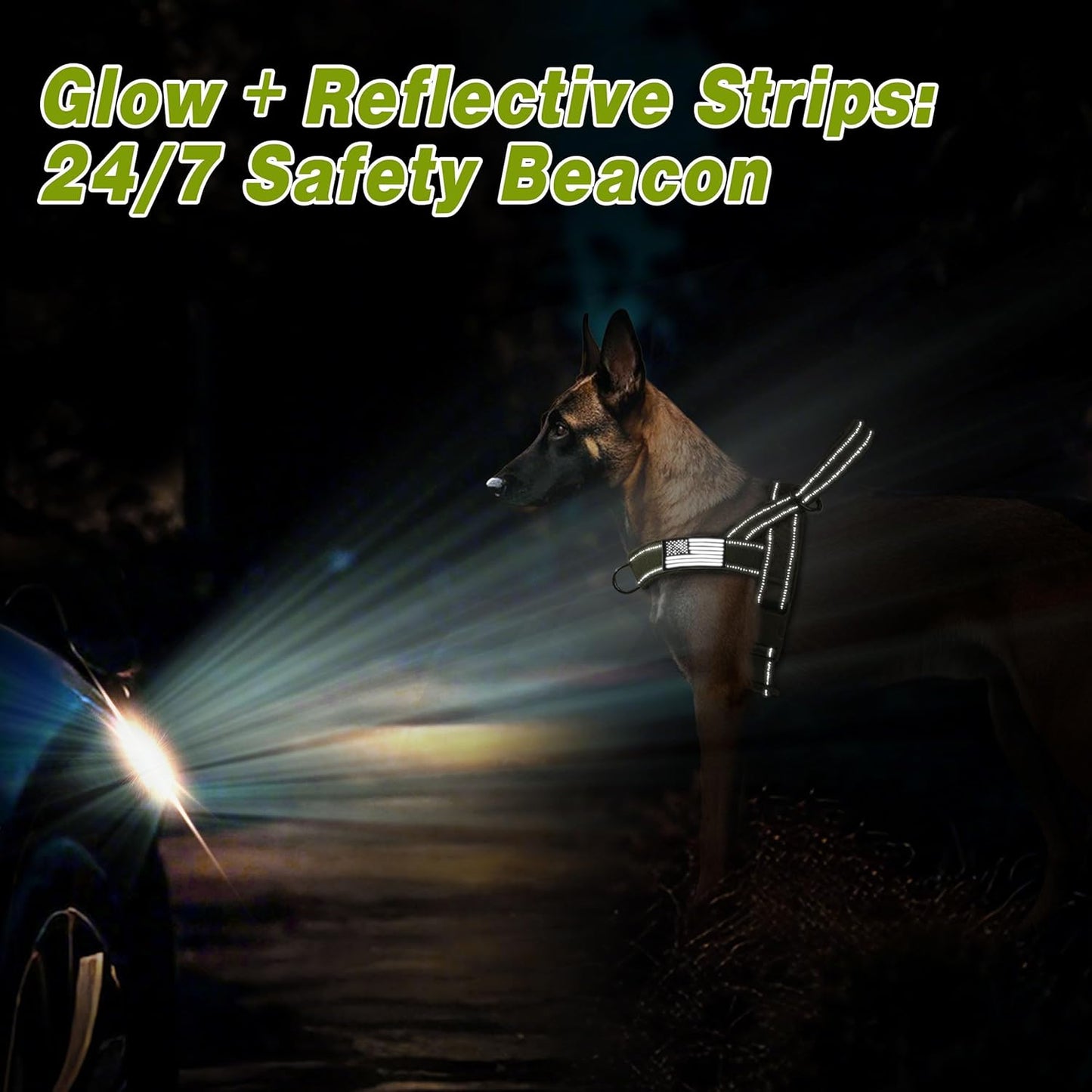 Forestpaw No Pull Dog Harness with Large Handle,Slip on Reflective Vest with Quick Release Buckle,Comfortable Flannel Lining for Medium Large Dogs Walking Training (Includes 3 Patches),Green XL