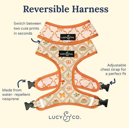 Lucy & Co. Cute Reversible Dog Harness Walking Halter - Best Designer Pet Harnesses for XS - XL Dogs - Padded Adjustable Vest for Easy Walking-Small-Orange Cream Pumpkin
