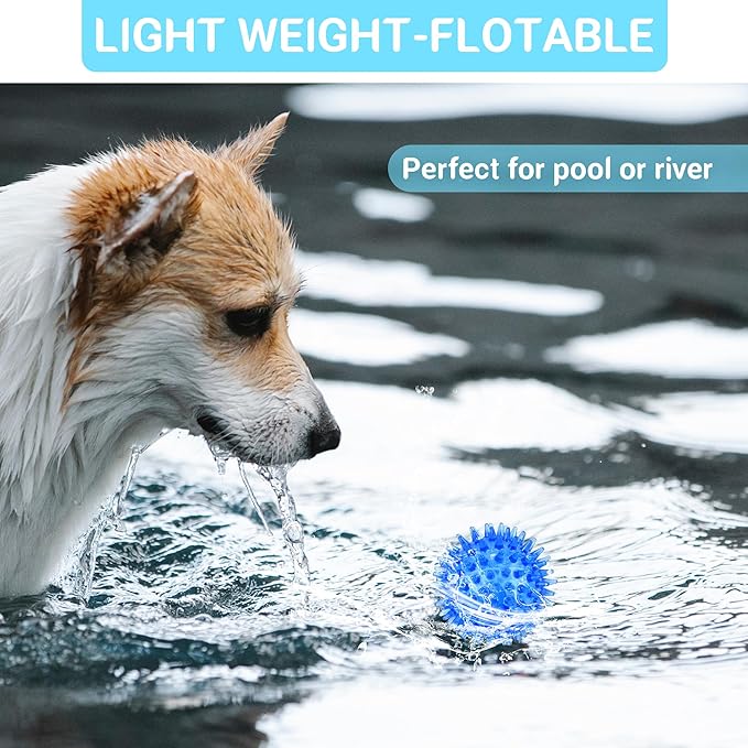 2.5" Squeaky Dog Toy Balls for Small & Medium Dogs – Durable Rubber Chew Toys for Teething Puppies, Spiky Teeth Cleaning Ball with 8 Colors