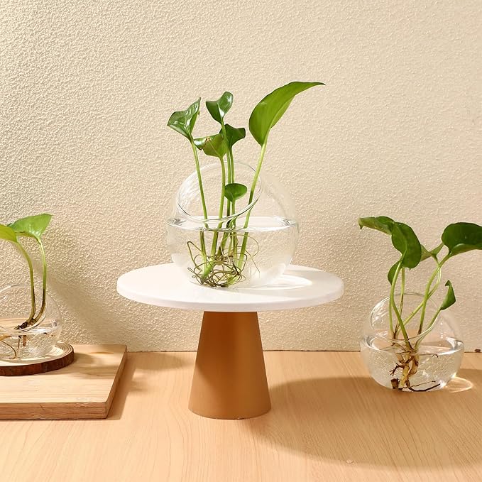 3PCS Glass Terrariums for Plants Glass Fish Bowls Plant Terrarium Air Plant Planter Desktop Bubble Bowls Clear Vases Air Plants Holders Succulent Terrarium