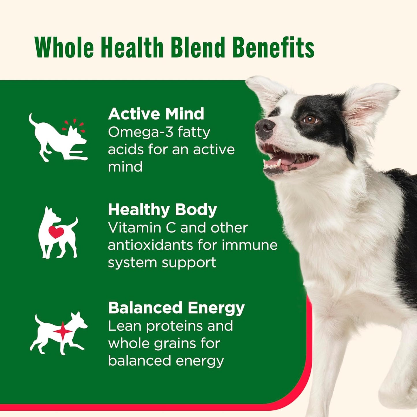 Nutrish Gentle Digestion and Whole Health Blend Premium Paté Variety Pack Wet Dog Food, 13 oz. Can, Pack of 12, Packaging May Vary (Rachael Ray)