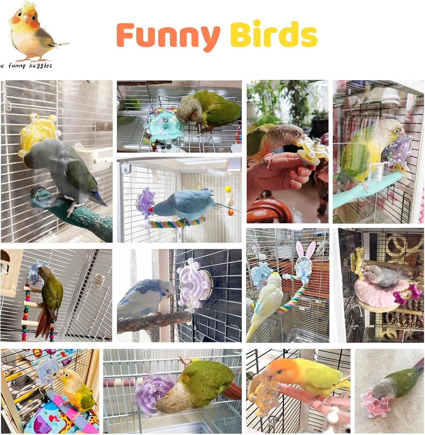 Colorful Bird Toys Wheel,for Parakeets,Conures,African Grey Parrots and Other Birds, Bird Cage Accessories for Gnawing and Relieve Boredom (3pcs)