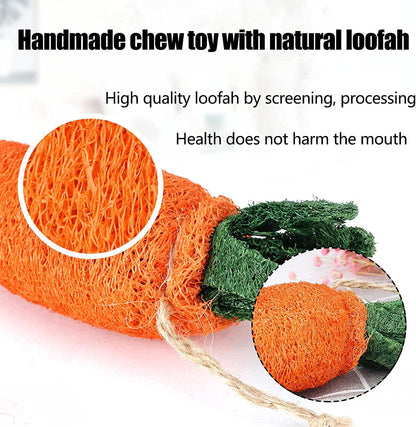 16 PCS Rabbit Toys, Hamster Toy for Molar, Loofah String Carrot Toys for Dental Health, Promote Digestion, for Best Hamster Toys Gifts