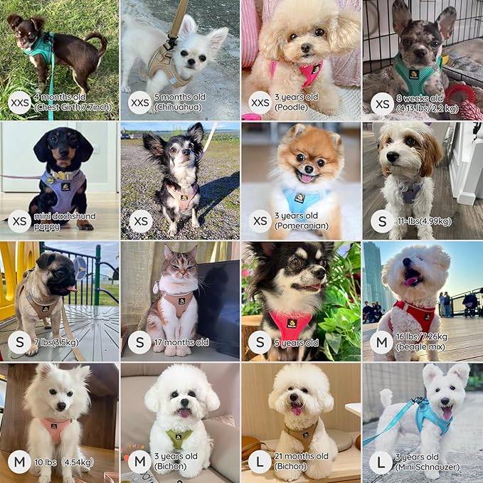 BELLA & PAL Step in Vest Harness for Small and Medium Dogs, No Pull Small Dog Harness with Leash Set, Comfortable Air Mesh Dog Vest Harness with Reflective Strip (Red, L)