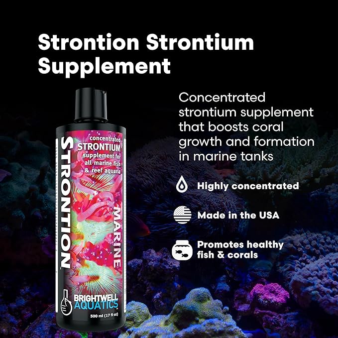 Brightwell Aquatics Strontion High-Strength Ionic Strontium Supplement for Reef Aquariums Supports Coral Skeletal Growth Aragonite Formation SPS LPS, 500 ml