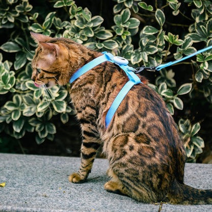 Cat Harness and Leash Set with Airtag Holder for Walking & Travelling, Escape Proof Cat Harness for Small Medium Large Kitten, Adjustable Lightweight Soft Cat Vests (Blue)