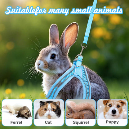2 Pack Rabbit Harness and Leash Set, Double Buckle Bunnies Harness with Reflective Strips Soft Breathable Mesh Vest Harness for Rabbits Walks Accessories(Blue and Black)
