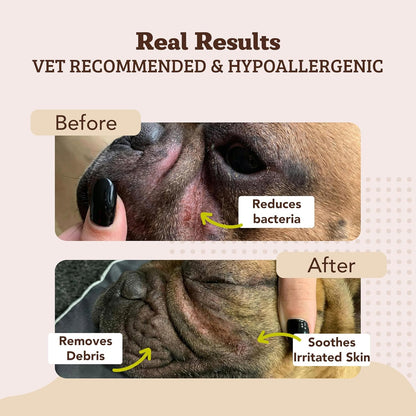 Natural Dog Company Wrinkle Wipes for Dogs, 100 Count, Hypoallergenic Dog Wipes, Wrinkle Wipes French Bulldog, Cleaning & Deodorizing, Dog Wipes for Grooming Faces, Paws & Butts